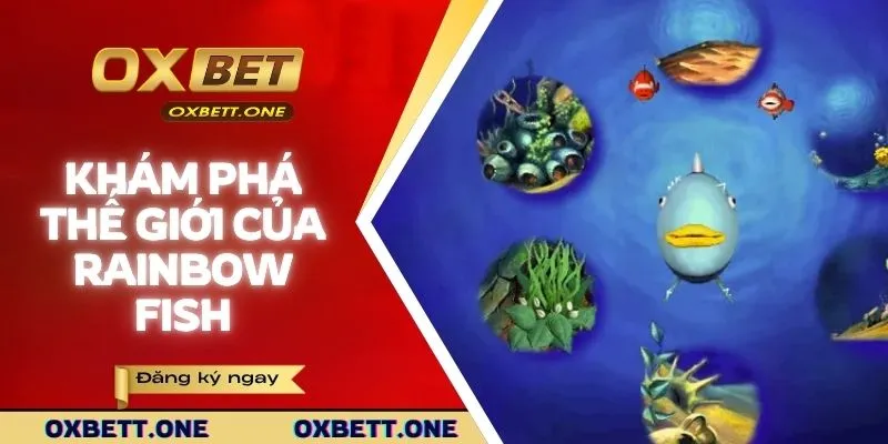 Rainbow Fish | Game Phiêu Lưu Đại Dương Cực Hấp Dẫn Khám phá thế giới đại dương của Rainbow fish