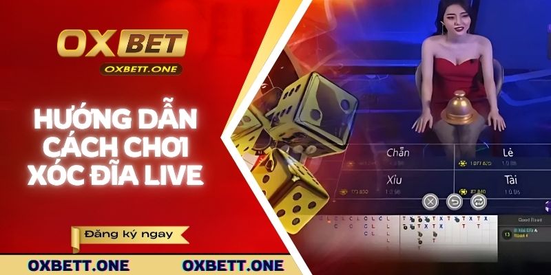 Xóc Đĩa Live - Chia Sẻ Cách Chơi Chi Tiết Cho Tân Thủ OXBET Bật mí chi tiết quy tắc chơi xóc đĩa